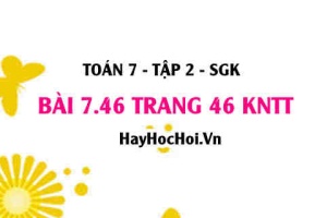 Bài 7.46 trang 46 Toán 7 Tập 2 Kết nối tri thức